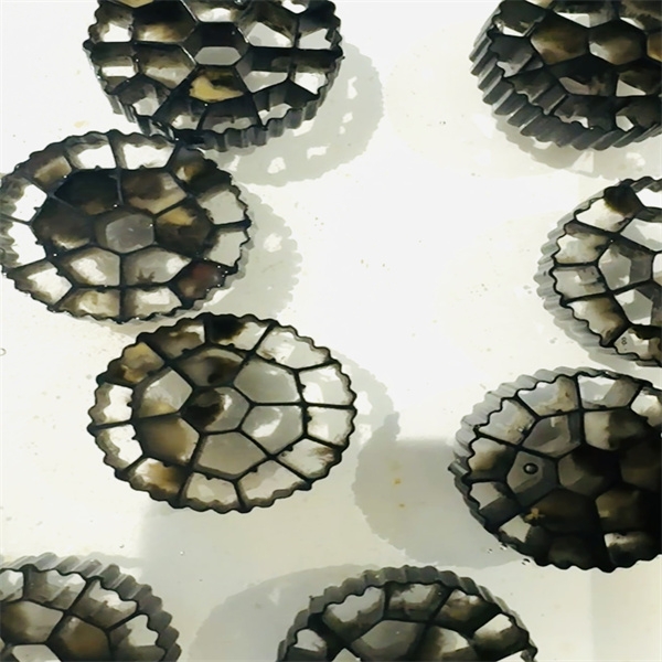 biofiltrācijas vide-3.jpg