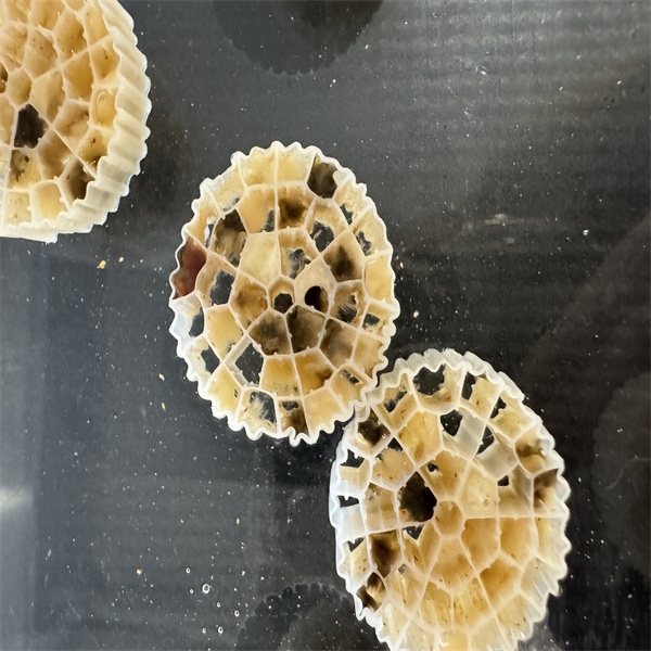 bioloģiskās filtrācijas materiāls-1.jpg
