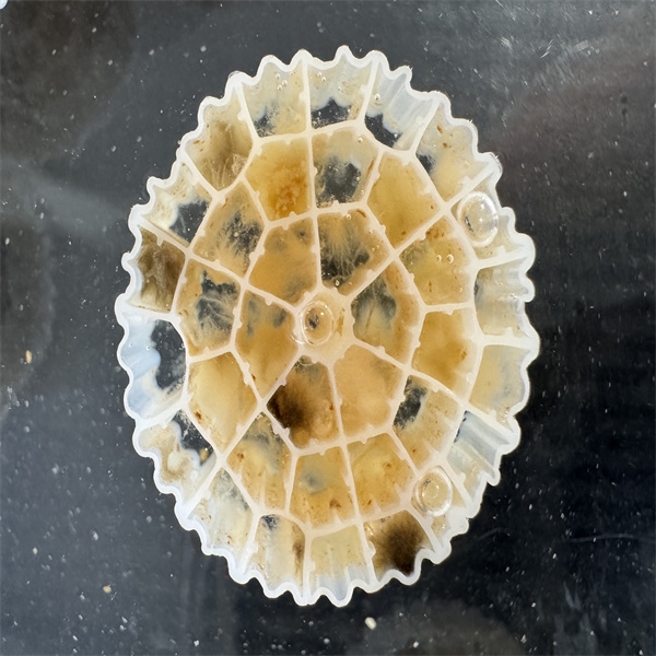 bioloģiskās filtrācijas materiāls-2.jpg